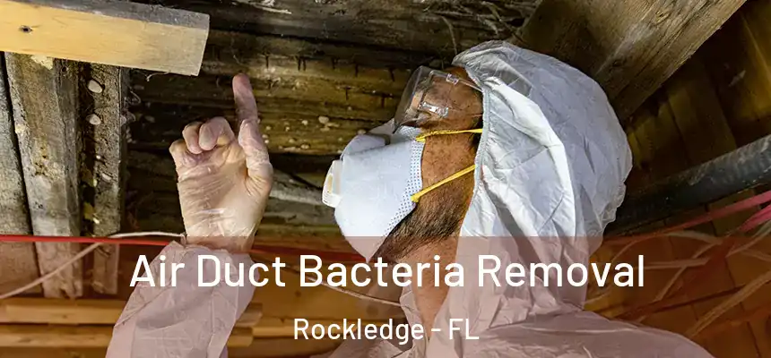  Air Duct Bacteria Removal Rockledge - FL