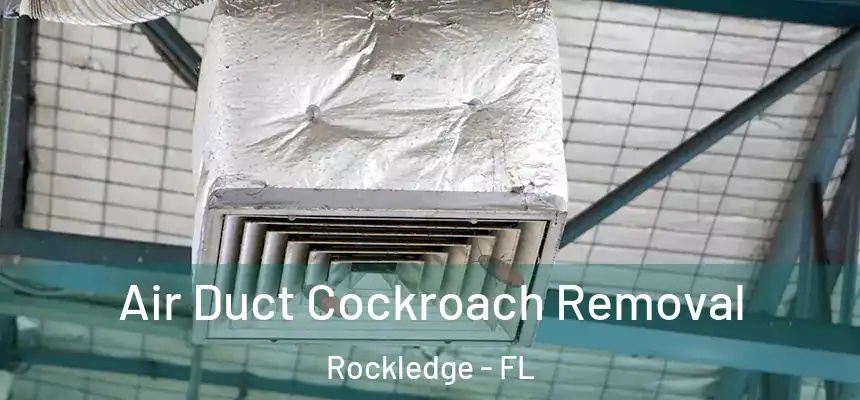  Air Duct Cockroach Removal Rockledge - FL
