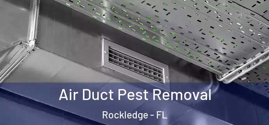 Air Duct Pest Removal Rockledge - FL