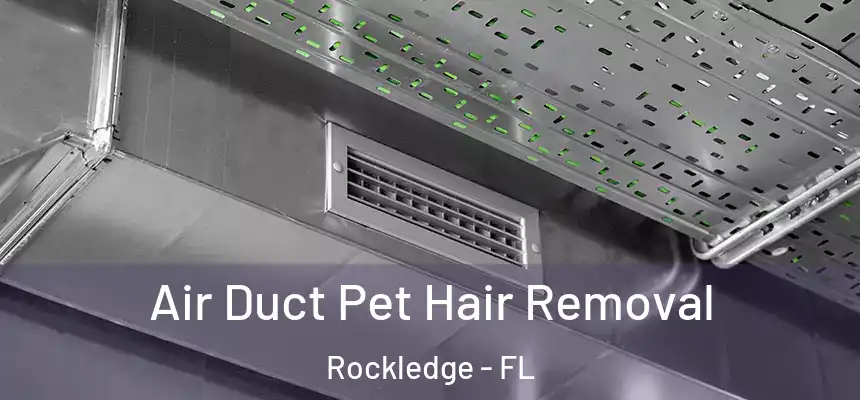  Air Duct Pet Hair Removal Rockledge - FL