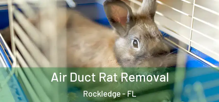  Air Duct Rat Removal Rockledge - FL