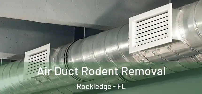Air Duct Rodent Removal Rockledge - FL
