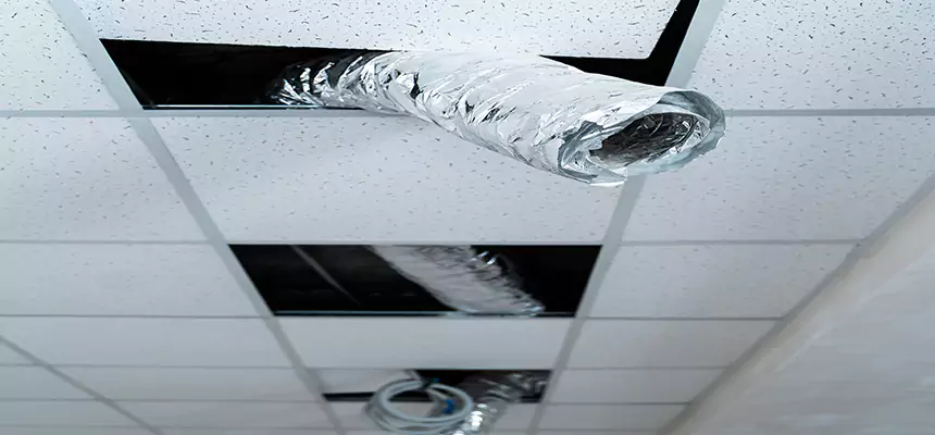 Our Air Duct Pet Hair Removal Services in Rockledge, FL