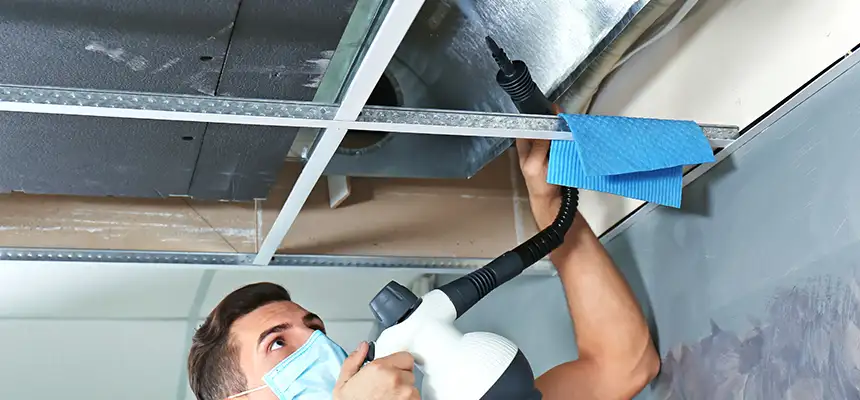 Our Air Duct Rodent Removal Services in Rockledge, FL