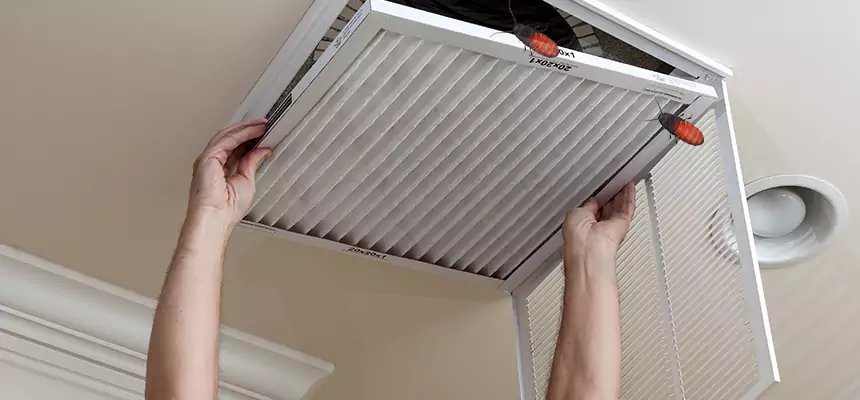 Our Insect Removal from Air Ducts Services in Rockledge, FL