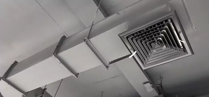 Our Pest Removal From Ducts Services in Rockledge, FL