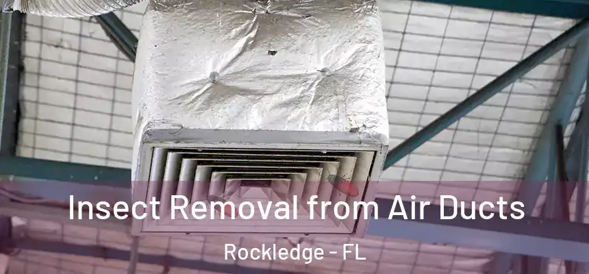  Insect Removal from Air Ducts Rockledge - FL
