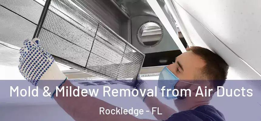  Mold & Mildew Removal from Air Ducts Rockledge - FL