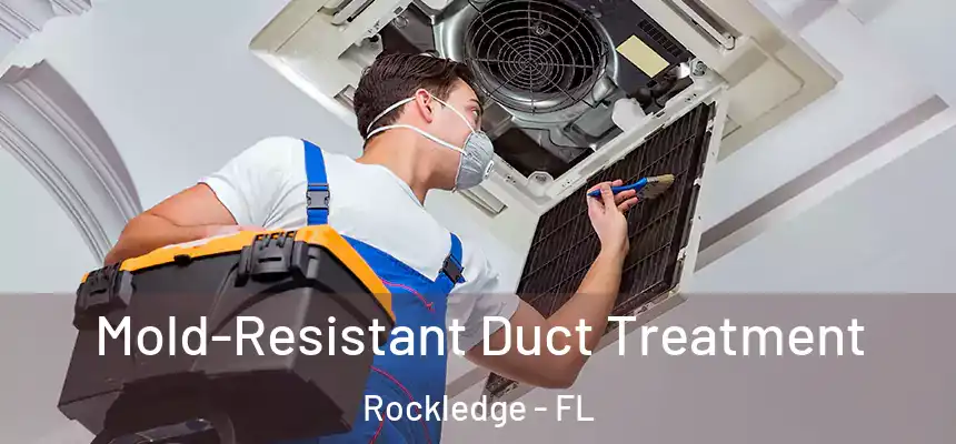Mold-Resistant Duct Treatment Rockledge - FL