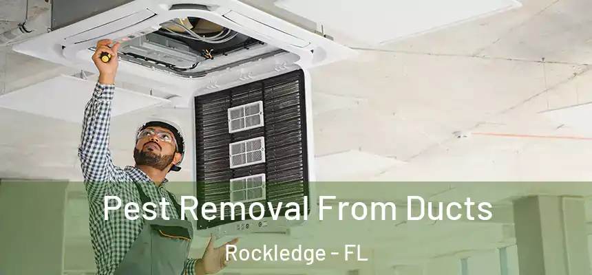  Pest Removal From Ducts Rockledge - FL