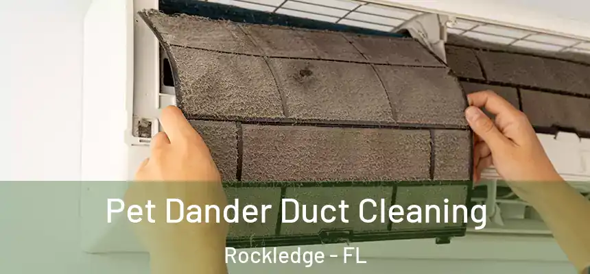  Pet Dander Duct Cleaning Rockledge - FL