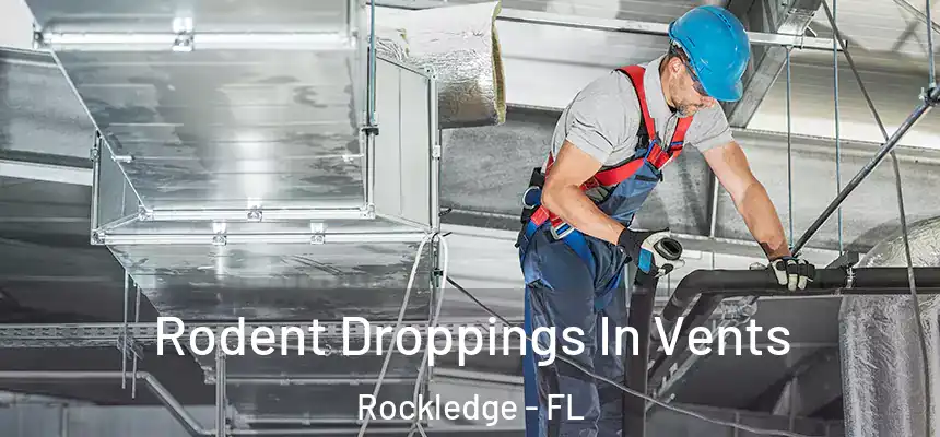  Rodent Droppings In Vents Rockledge - FL