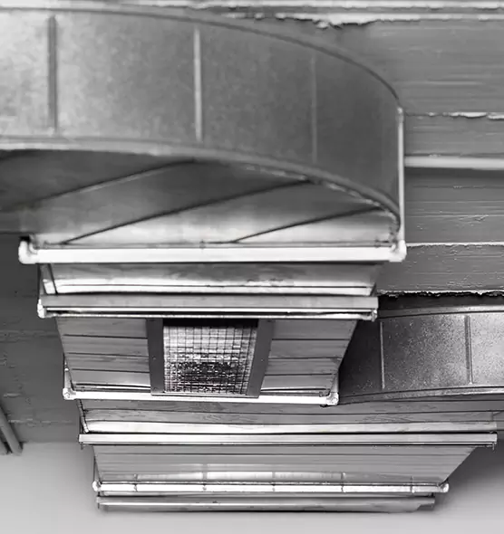 Professional Air Duct Pet Hair Removal in Rockledge, FL