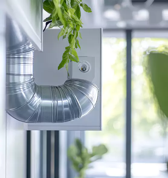 Professional Eco-Safe Dryer Vent Cleaning in Rockledge, FL