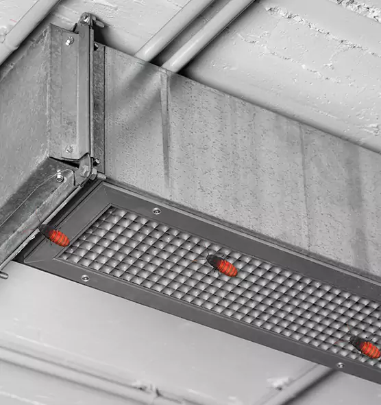 Affordable Insect Removal from Air Ducts in Rockledge, FL