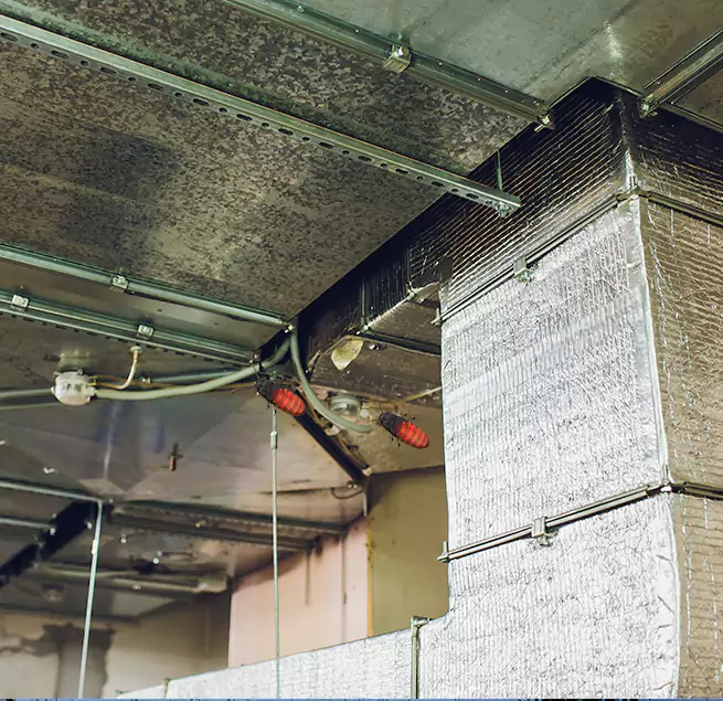 Why Homeowners & Businesses Trust Us in Rockledge, FL?