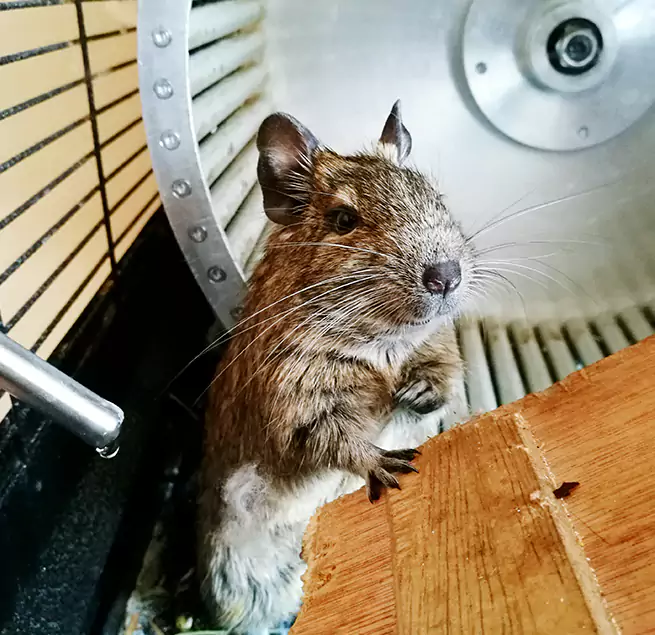 Why Homeowners & Businesses Trust Us Rockledge, FL