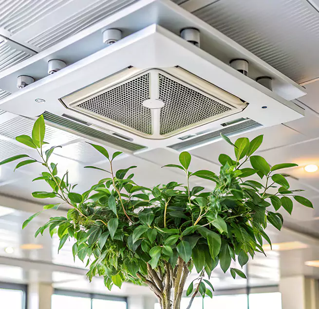 Why Homeowners & Businesses Trust Us in Rockledge, FL