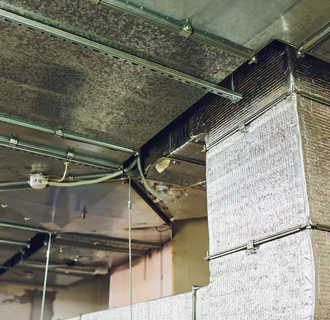 Why Homeowners & Businesses Trust Us in Rockledge, FL?